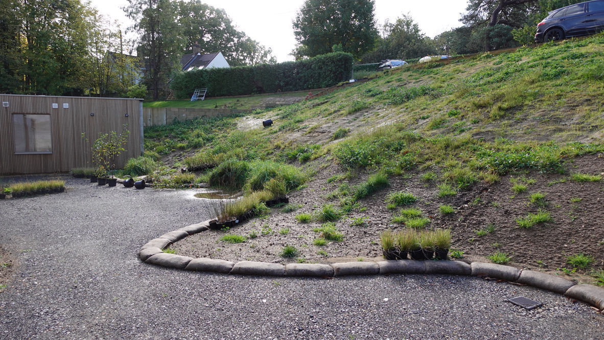 Natural planting in gravel