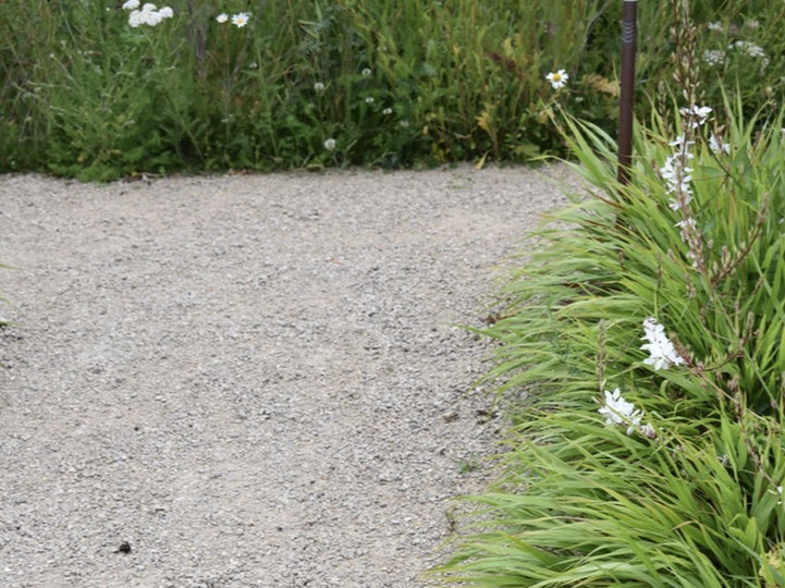 Hove-Garden-Natural-Planting