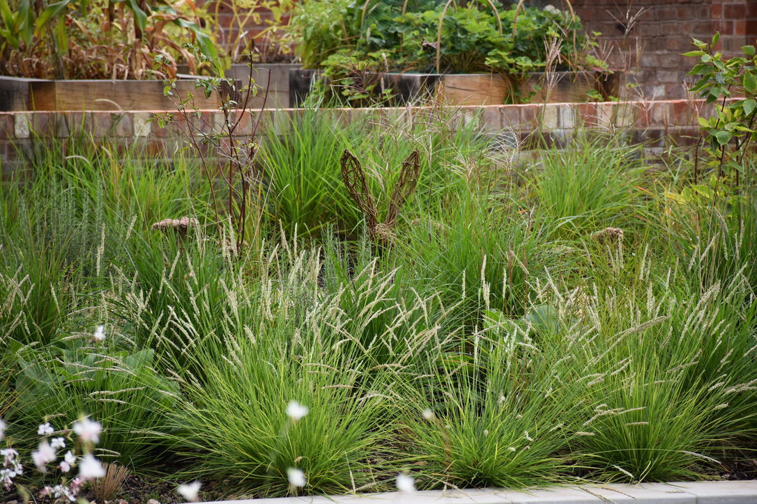 naturalplanting-grasses