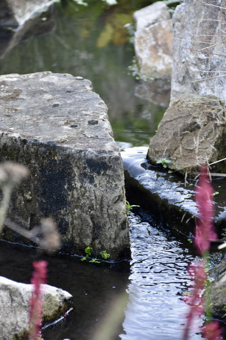 Natural Garden Ditchling