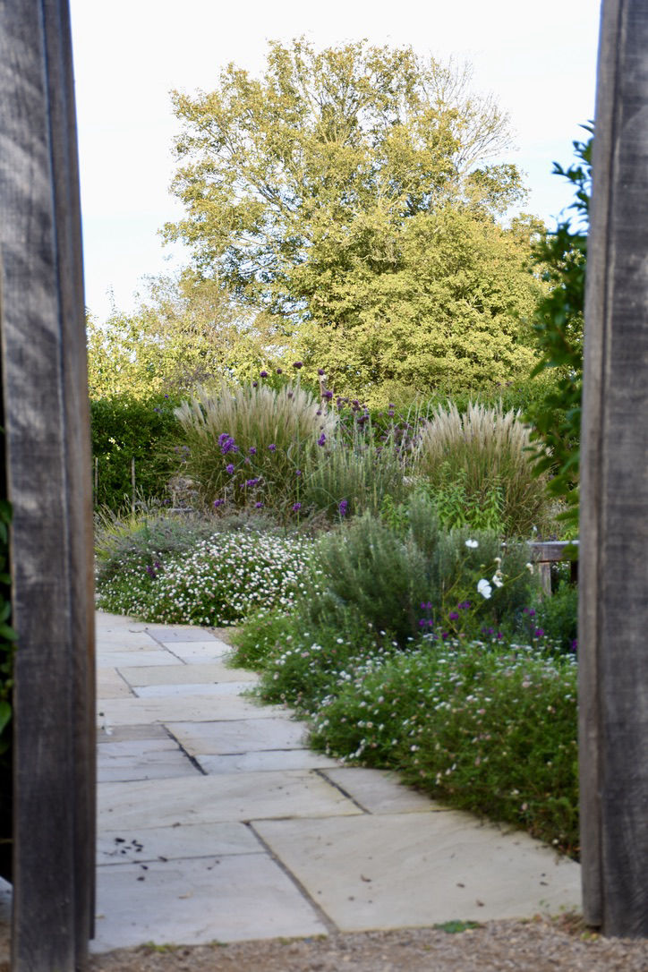 Healing Garden Sussex