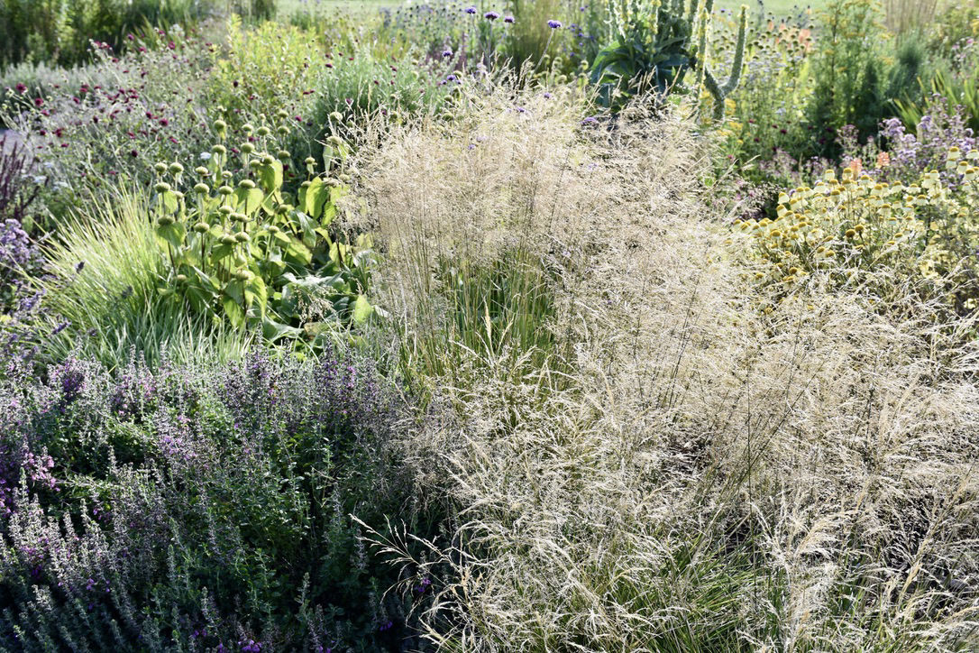 Hove Lagoon Prairie Planting