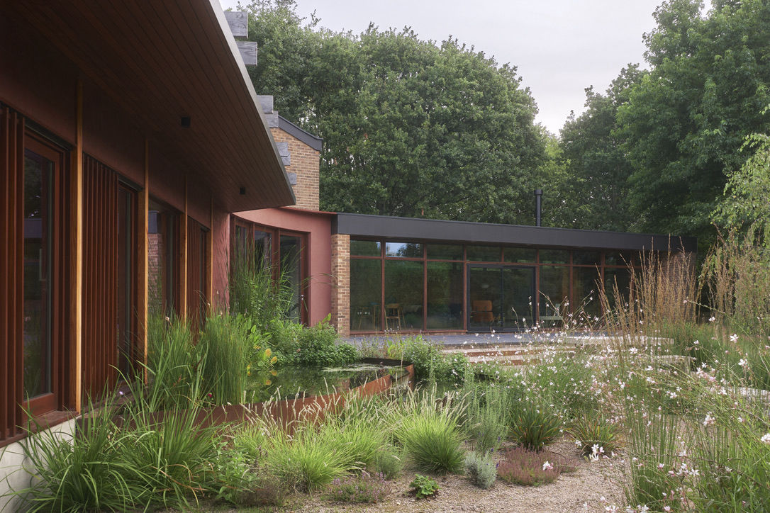 Ditchling-Wild-Natural-Garden