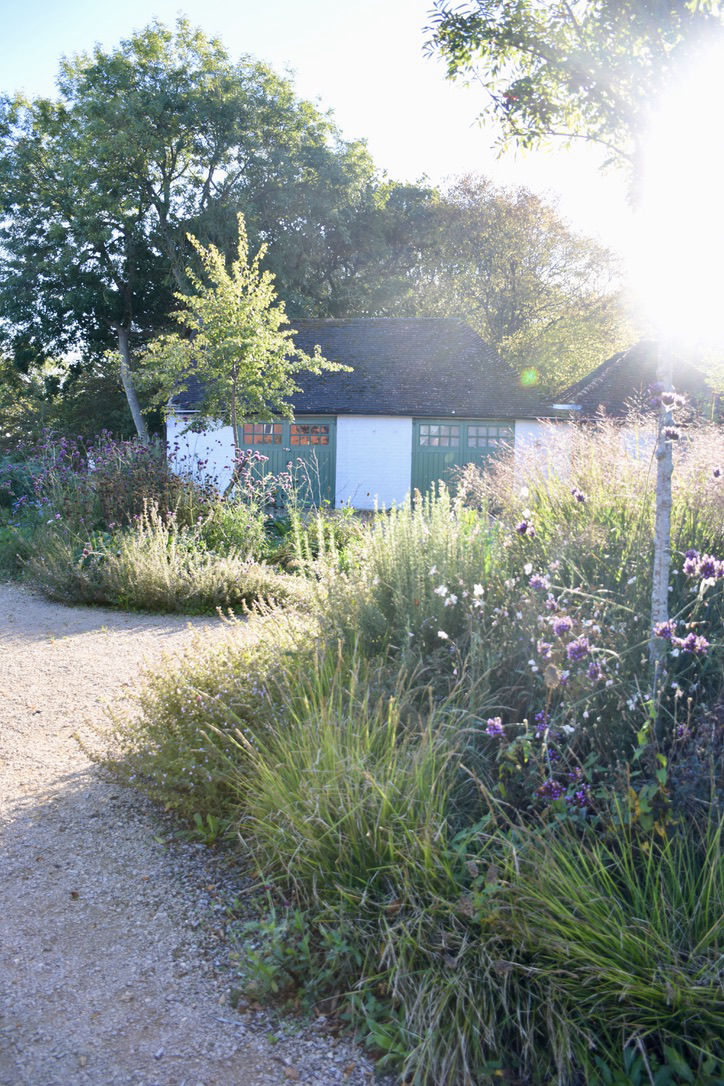 Healing Garden Sussex