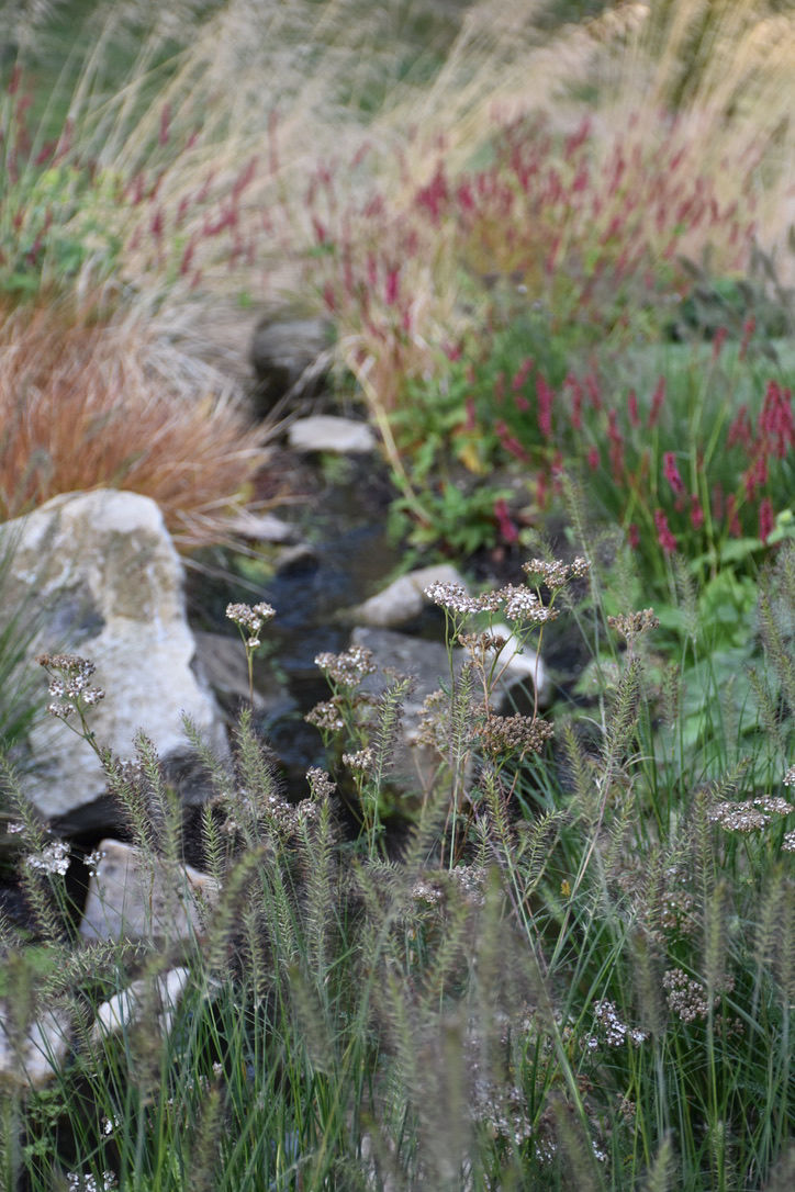 Natural Garden Ditchling