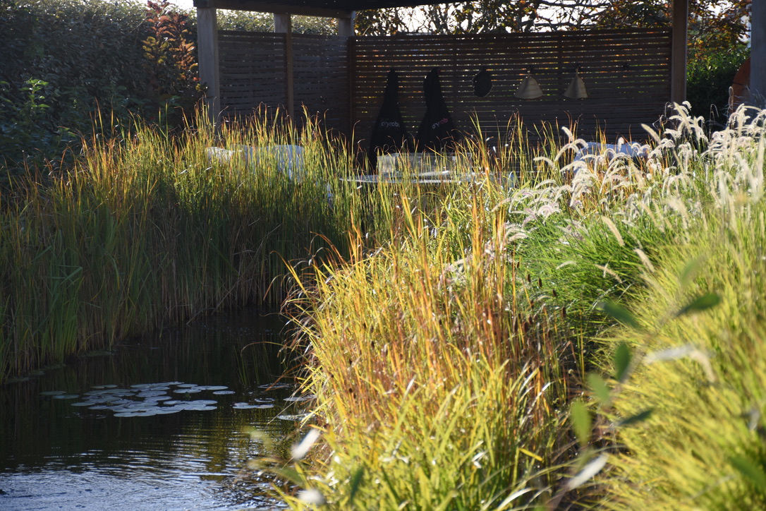 Roedean Coastal Garden