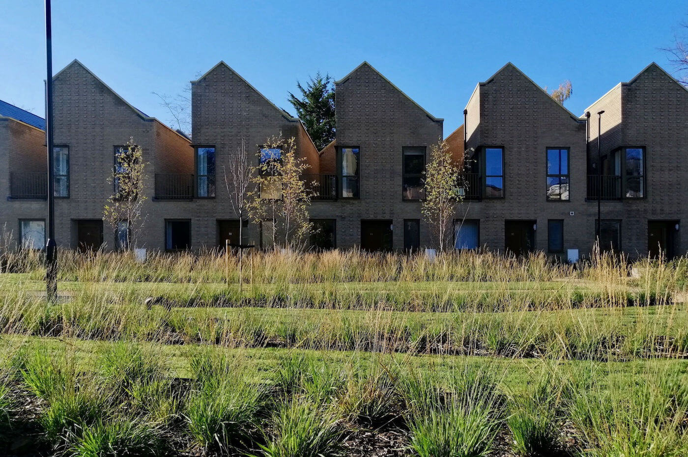 landscape-architect-brighton