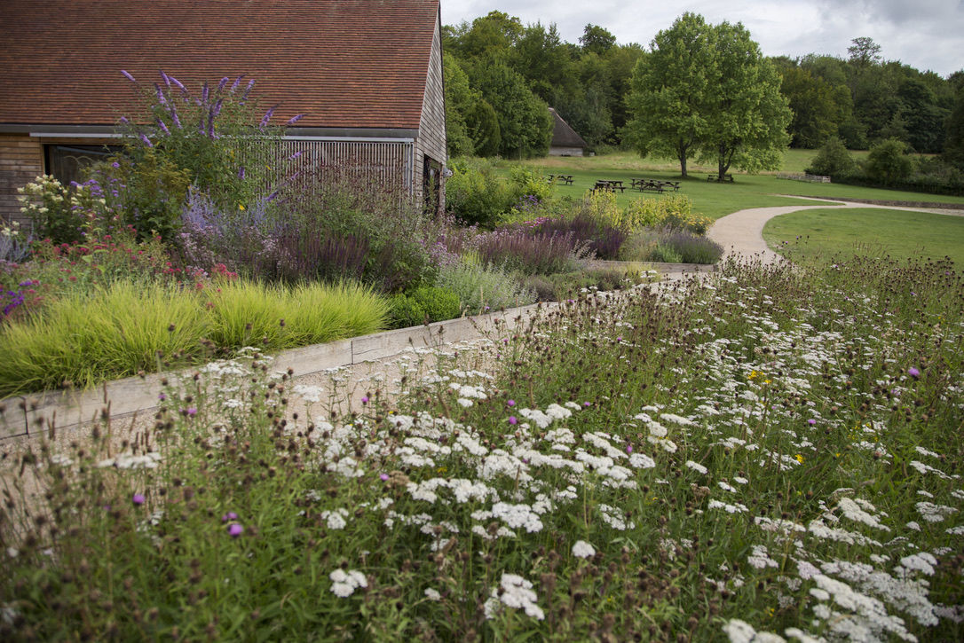 wildflower meadow breedon gravel path