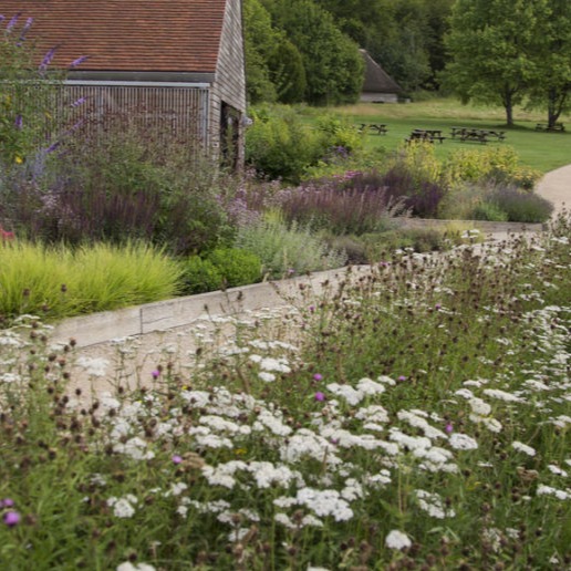 Weald&Downland