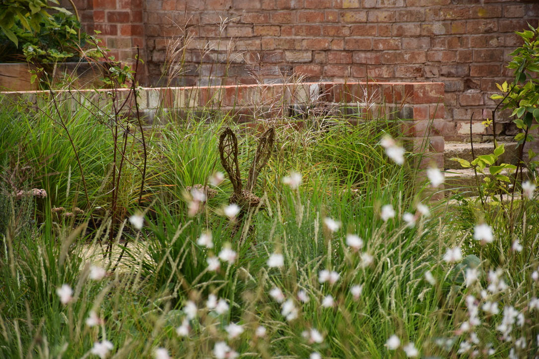 wildflowers-biodiversity-garden