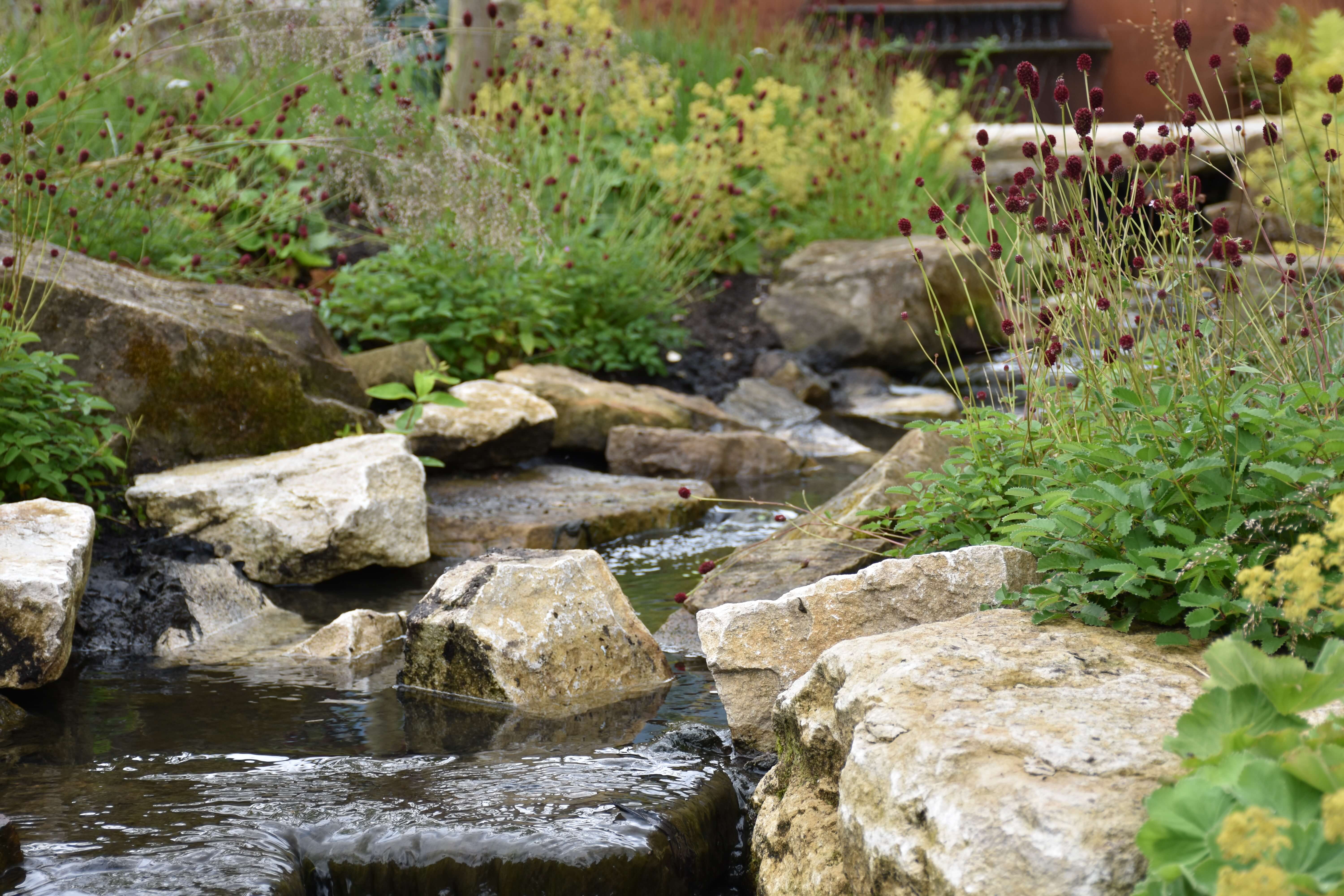 Modern organic landscape architecture - natural garden design concept
