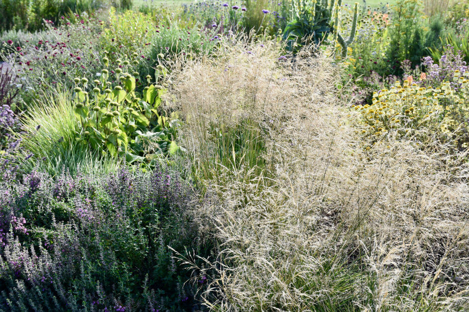 Coastal Garden