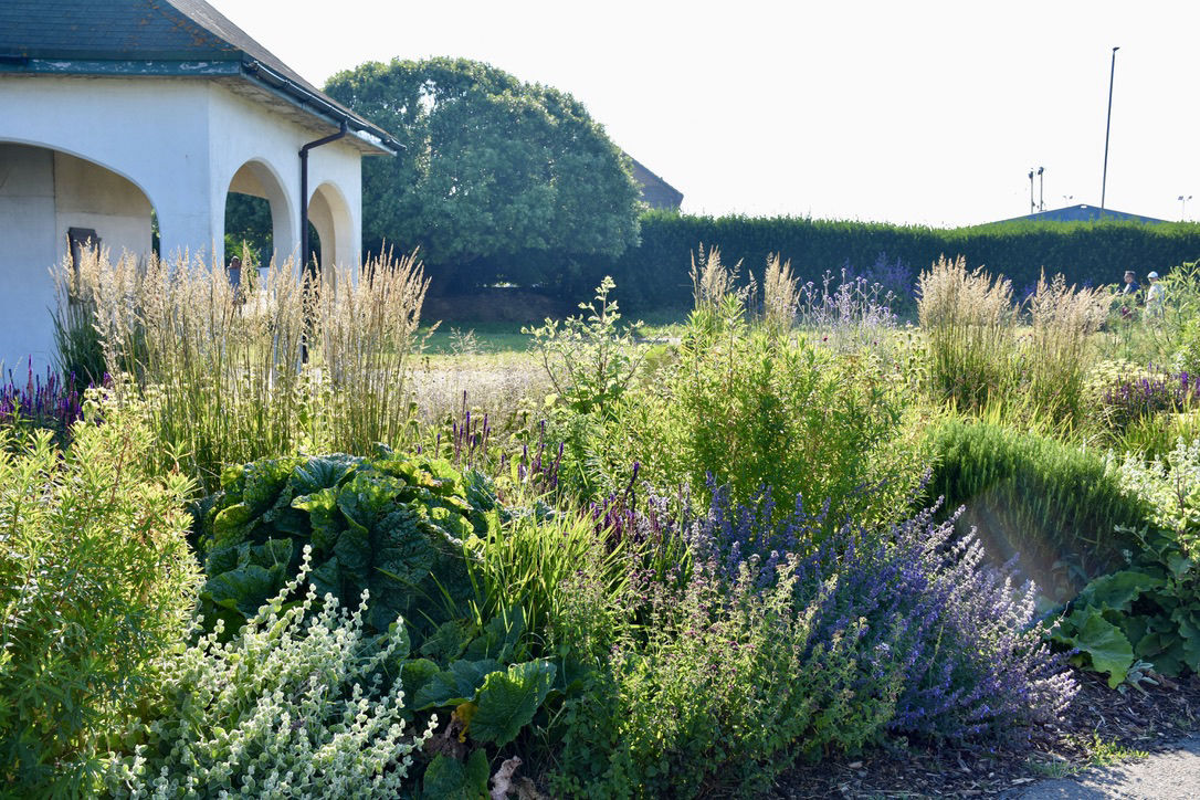 Hove Lagoon Prairie Planting