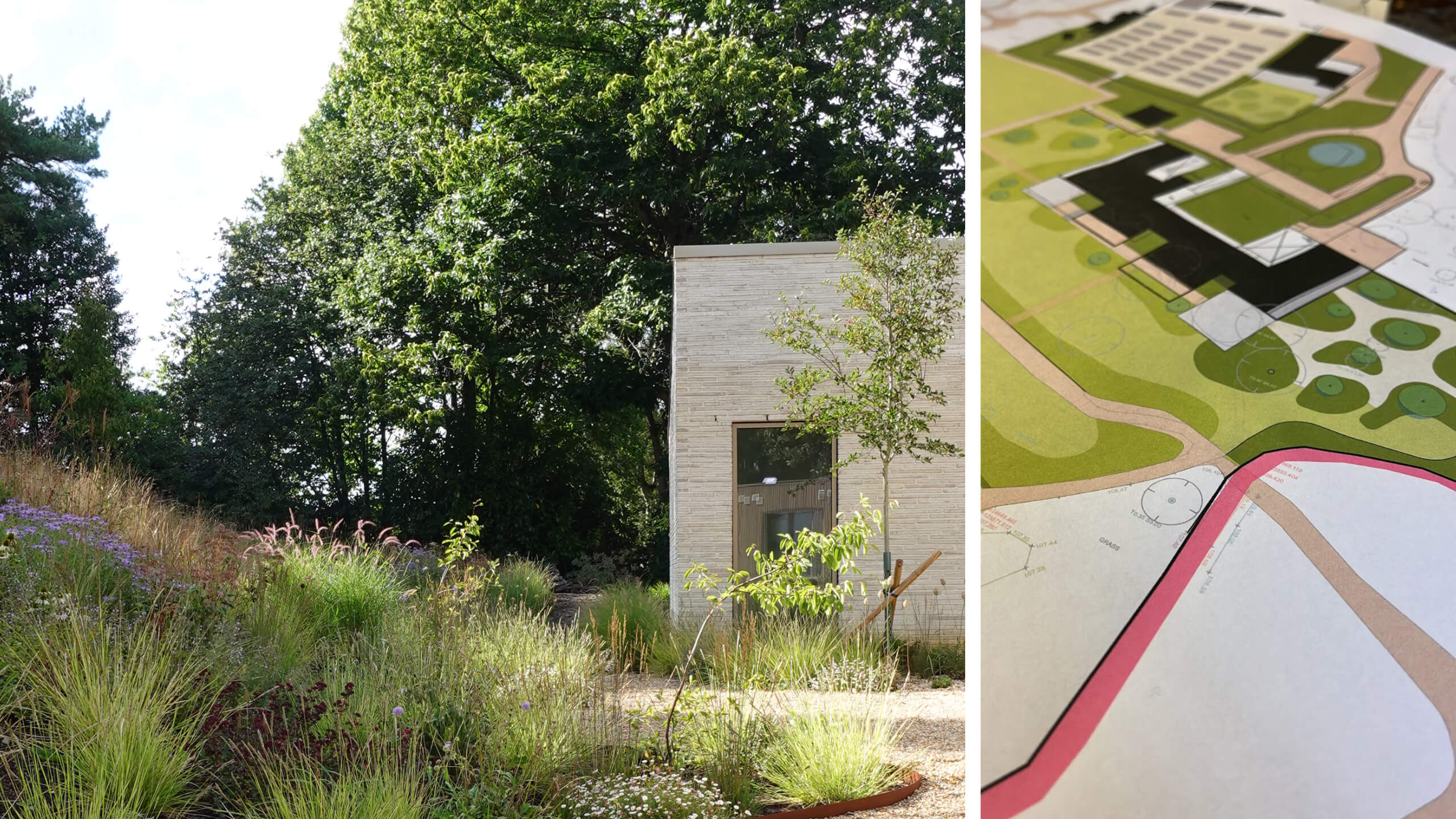 Modern organic landscape architecture - natural garden design concept