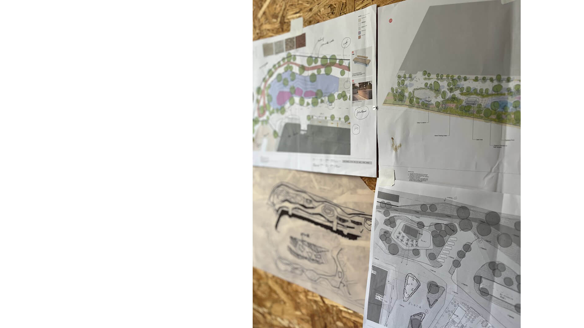 Modern organic landscape architecture - natural garden design concept