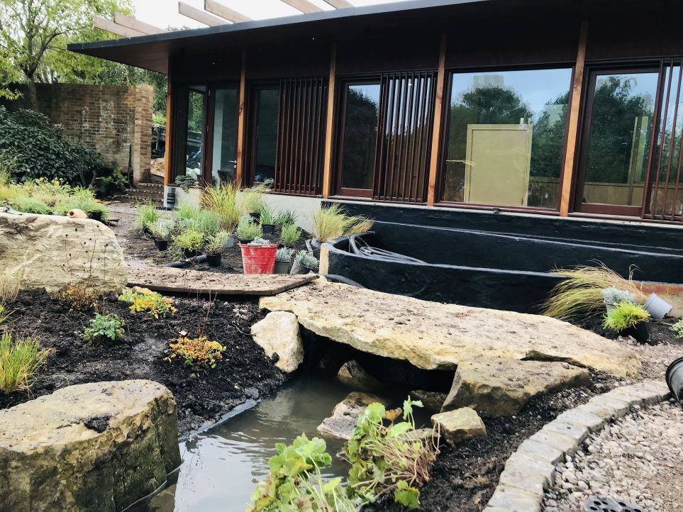 Ditchling-Wild-Natural-Garden