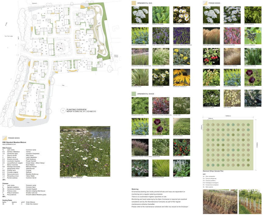 Detailed Planting Plans landscape architect sussex