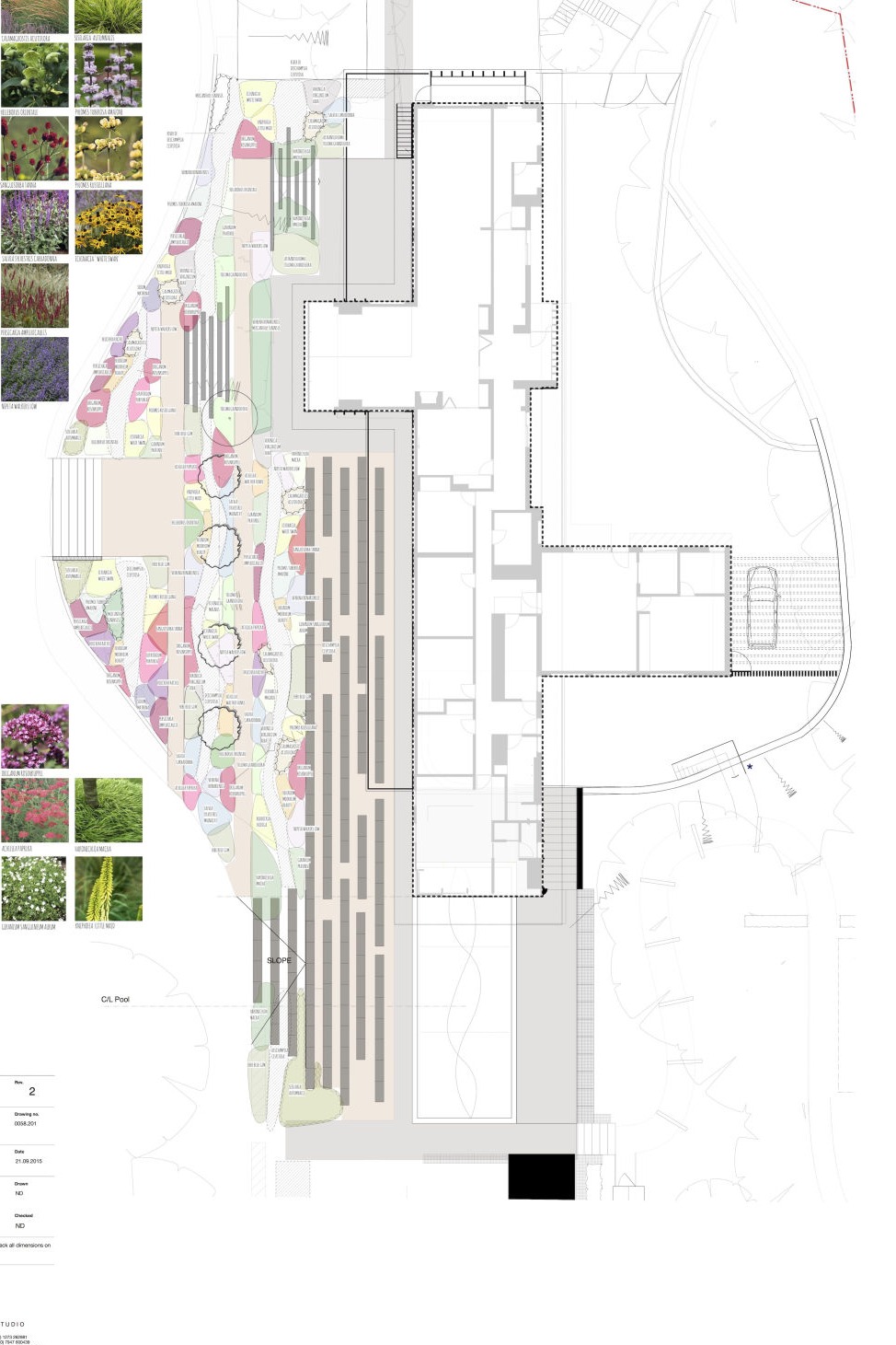 Landscape Site Plan Detailed