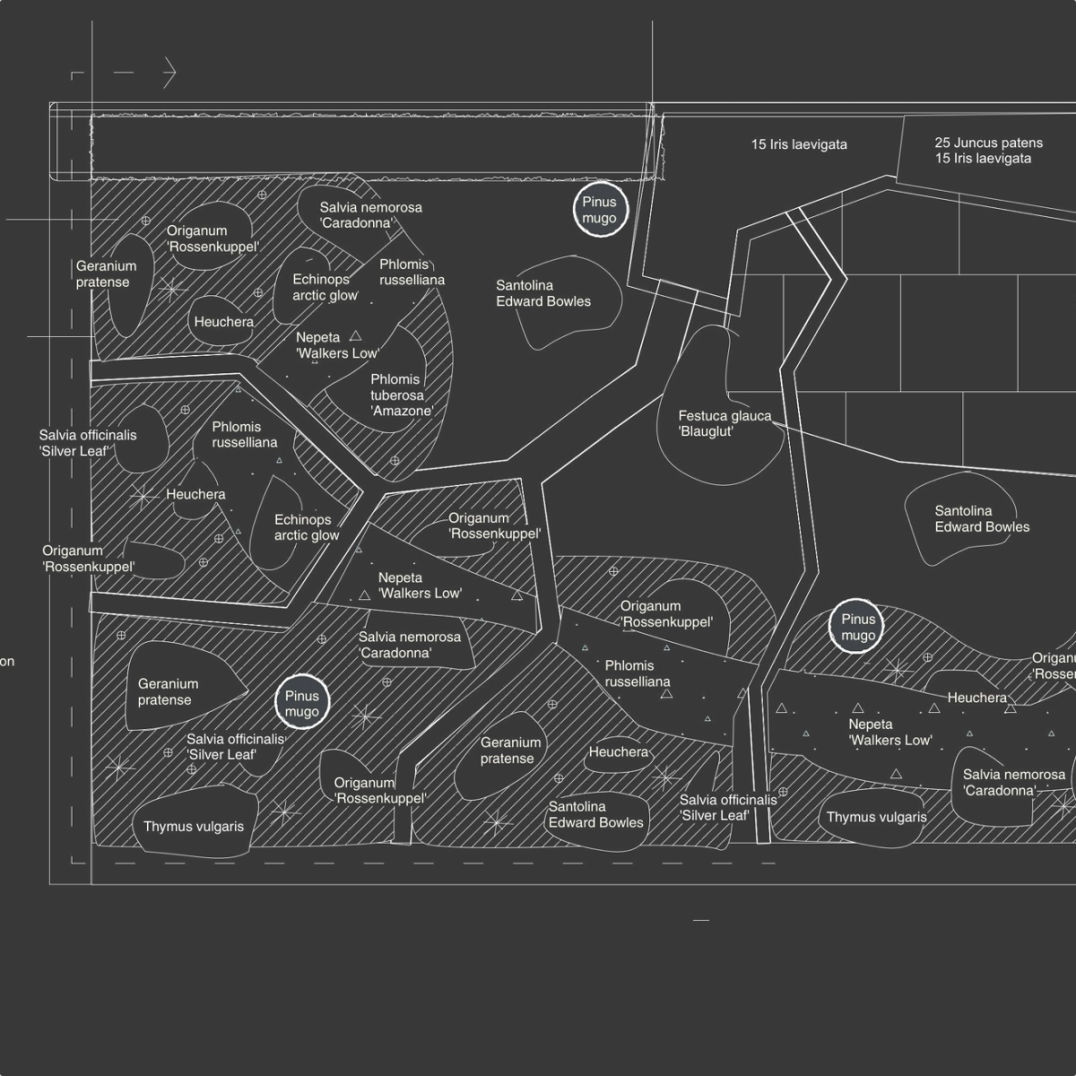 landscape-plan