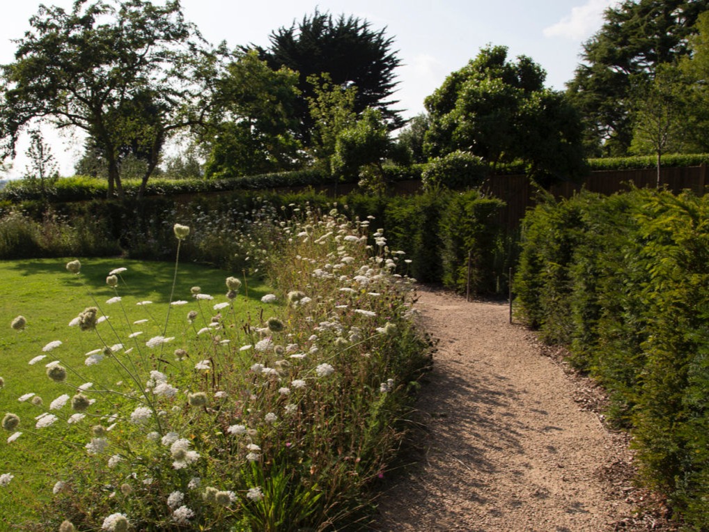 Hove-Garden-Natural-Planting-Meadow