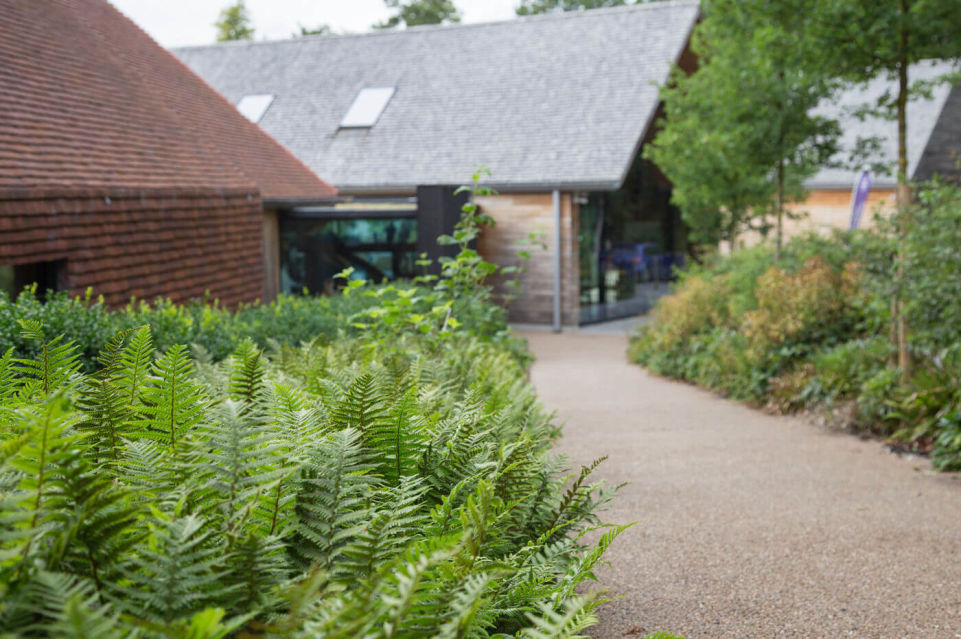 Weald & Downland Museum