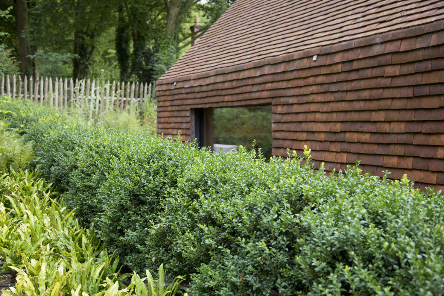 Resin bound gravel path with ferns